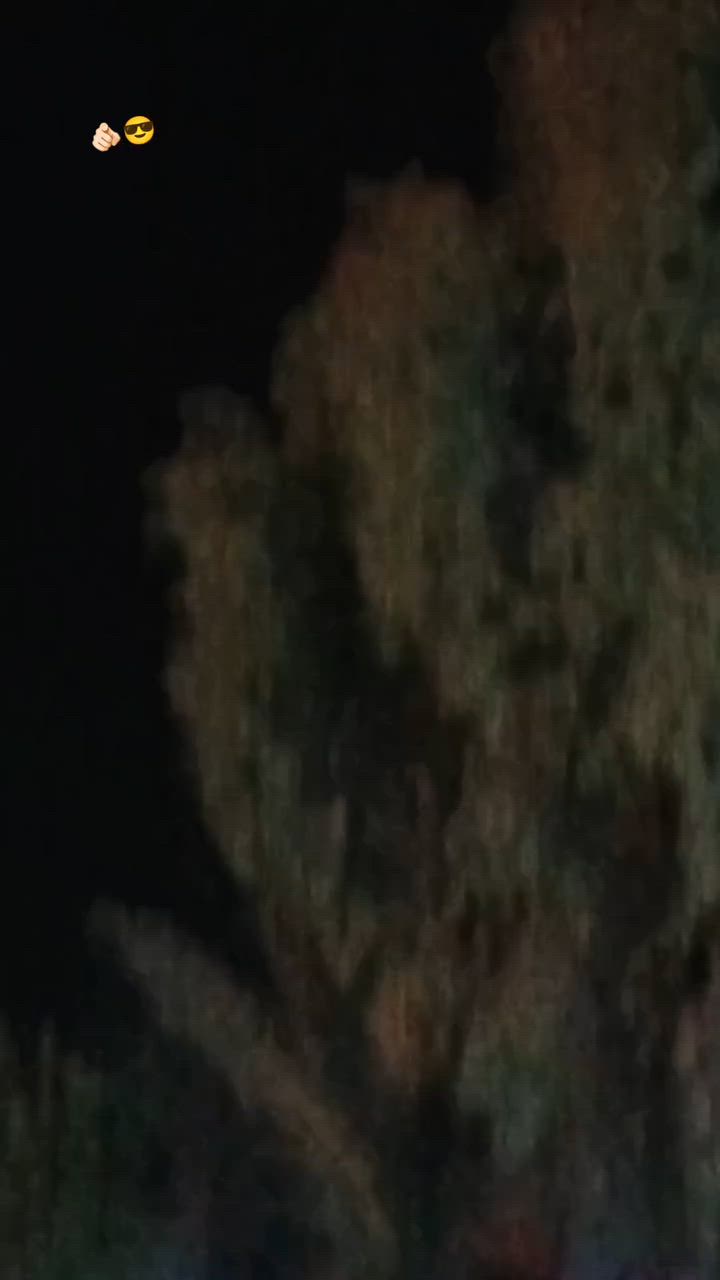 السلام عليكم دراجه نامي برو للبيع موديل 26 4كير نضافه فولل شرط شلعه ومعدل دشبول الالكتروني بصمه «مكان جلولاء» السعر 750 وبي مجال) الشراي يجي خاص (رجائن الموشراي لايتعبني 👉🏻


**إذا كنت صاحب هذا الإعلان وتريد حذفه لأي سبب، رجاءا أرسل رسالة إلى الدعم الفني**