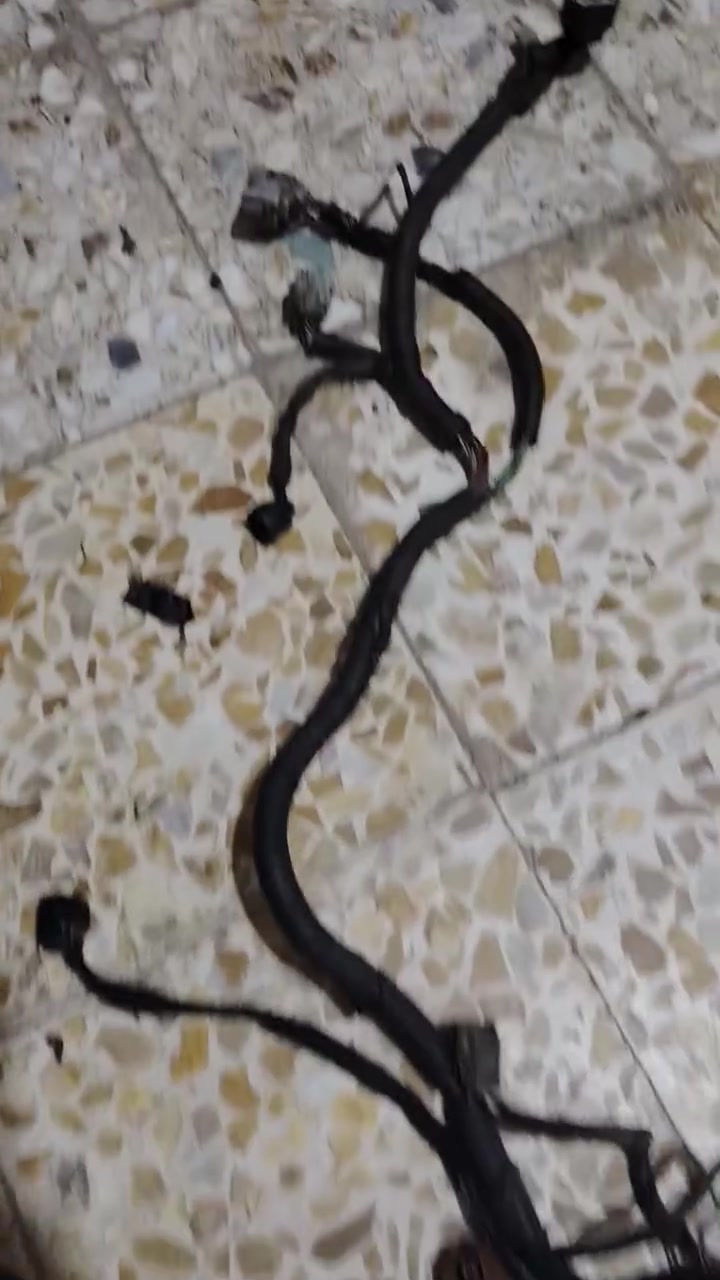 ***********
