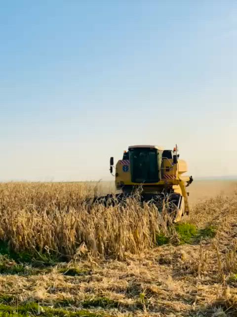 توجدطبله اذره ٦خطوط النوع اوربي الاستفسارعلا الرقم ***********
