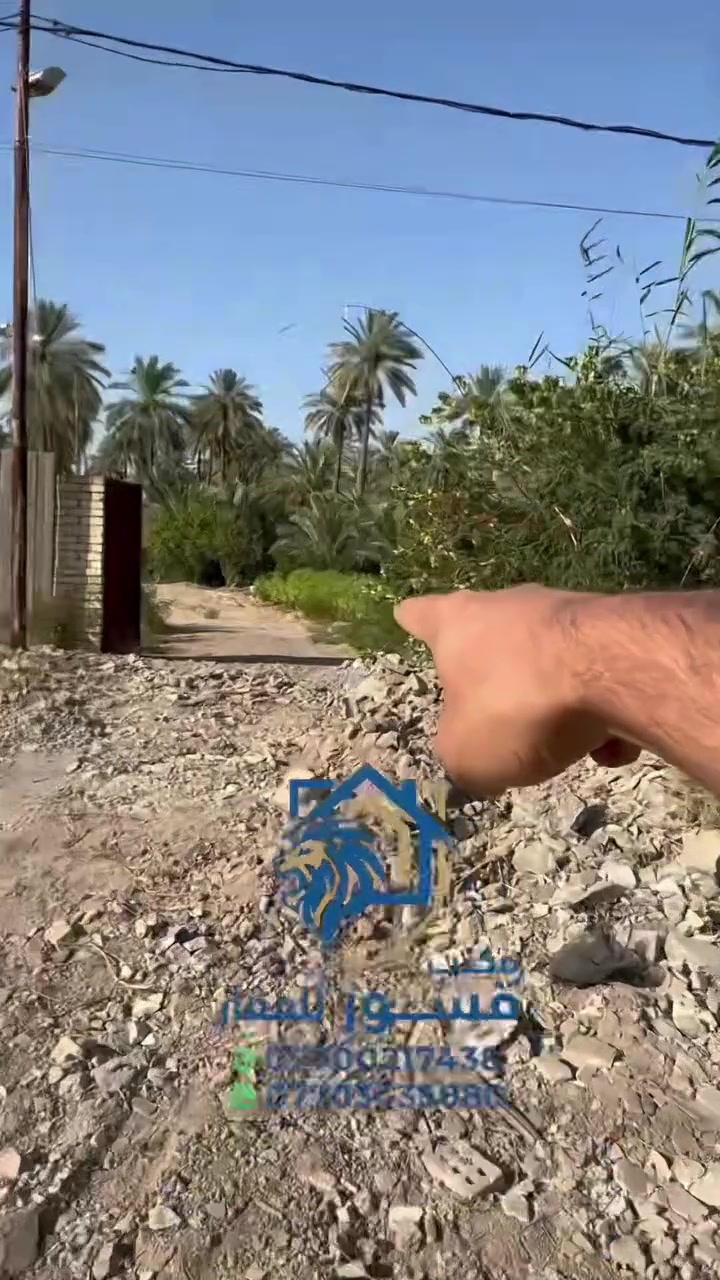 السلام عليكم 
اليوم عدنه دونم و200 متر (2700م)
في منطقة العنافصة تبعد عن جزيرة بغداد 10 دقائق
دونم ملك زراعي صرف سند 25 تحويل بأسم المشتري
يبعد عن الشارع العام تقريباً (150م) 
واجهة (20) ونزال (125)
شامل كافة الخدمات كهرباء وماء وتبليط
ويحتوي الدونم على كافة انواع الحمضيات 
حامض 40 
20 برتقال دموي+اسود
10 سندي 
كرينفوت 10
ويحتوي ايضاً كافة انواع التمور 
36 اسطه عمران
14 برحي و6 حمالات
3 بريم 
13 زهدي
2 خستاوي
ويحتوي ايضاً على عدة فواكه منها 
العنب بعدة اصنافه
والعنجاص 
للاستفسار الاتصال على الرقم
***********
