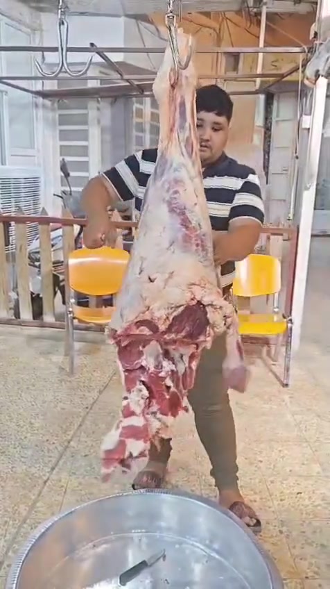قصابت النقيب كص عراقي خالص ***********
