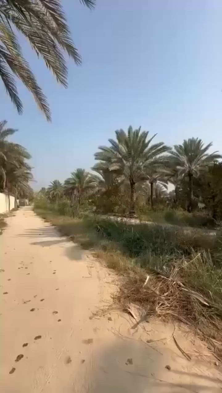 السلام عليكم 1000 متر كربلاء طريق حي العباس عامود 50 واجه 25
***********
