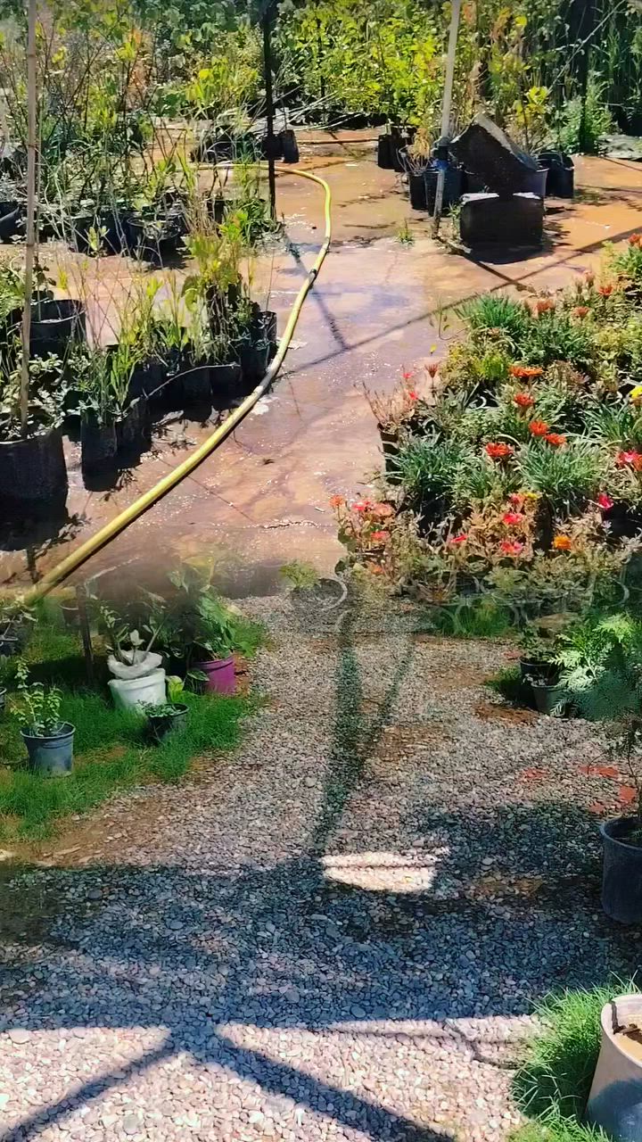 بسم الله وعلى بركة الله 🌿

تم بحمد الله وصول وجبة جديدة من الثيل الهندي إلى #مشتل_البشائر 🌱

كما يتوفر لدينا:
✅ لاينات حدائق (9 وردات و4 وردات)
✅ أرصفة وحدائق جاهزة
✅ أشجار زينة متنوعة
✅ نباتات وأزهار بأجمل الأنواع

يسرنا استقبالكم وزيارتكم على العنوان:
📍 الشرقاط – الشارع العام – شارع المعارض الجديدة – قرب محطة بانزين خانة الغالية – مجاور أسواق الميمونة ومقبرة القصبة الجديدة.

📞 للاستفسار والحجز:
***********

أهلاً وسهلاً بكم، ونتشرف بخدمتكم 🌿💚
