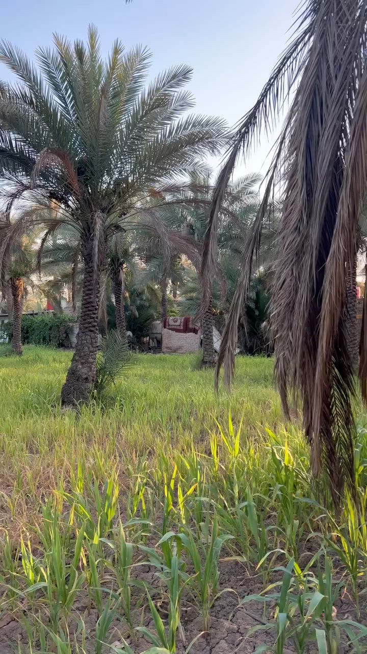 السلام عليكم 8 دونم للبيع طابو زراعي سند 25 تحويل مباشر✅✅
العنوان كربلاء طريق طوريج بسايد الخروج عامود 265 ✅

واجه الارض 35 متر ✅✅

الارض مخدومه ✅✅

الارض تصلح الاستثمار او سكن كولشي تصلح ✅✅✅

للأستفسار آكثر الأتصال على أرقآم التأليه 

0️⃣7️⃣7️⃣2️⃣5️⃣9️⃣8️⃣1️⃣9️⃣4️⃣5️⃣ابو باقر

0️⃣7️⃣8️⃣0️⃣8️⃣9️⃣9️⃣8️⃣8️⃣1️⃣8️⃣

0️⃣7️⃣7️⃣1️⃣9️⃣8️⃣0️⃣8️⃣1️⃣6️⃣5️⃣ابو علي 

وكذالك نستقبل جميع العروض لديكم في كافه مناطق كربلاء المقدسه ✅

#الجميع


**إذا كنت صاحب هذا الإعلان وتريد حذفه لأي سبب، رجاءا أرسل رسالة إلى الدعم الفني**