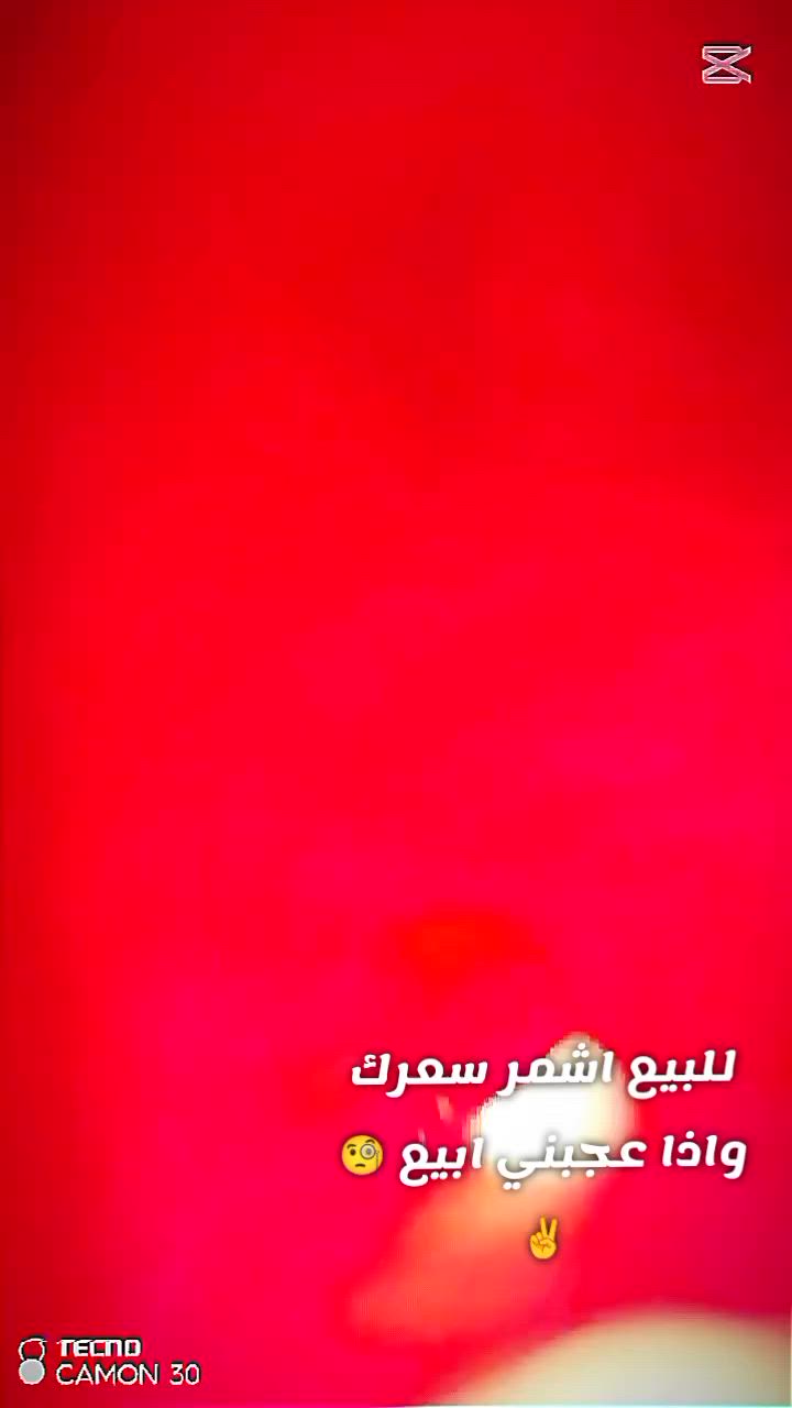 سلام عليكم شباب الباسكل للبيع الباسكل نازل من كرار ابو النقش لون احمر مديل 22 الباسكل نضيف 100%100 . سعر 160 وبي مجال للطيبين .. الباسكل تقريب صاله 15 يوم من نززل البايسكل مكانه نجف لاشرف رضويه العمود 191 قريب عل مركز الرضويه..


**إذا كنت صاحب هذا الإعلان وتريد حذفه لأي سبب، رجاءا أرسل رسالة إلى الدعم الفني**