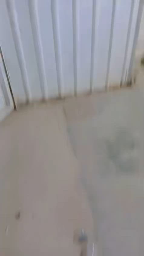 السلام عليكم بيت  للإيجار الشعب شارع عدن يم جامع الجهاد  ***********تفاصيل على الرقم

