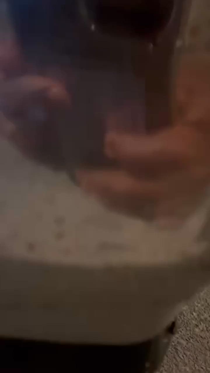 نيسان ٨٨رقم نكليزي مدور ثاني يوم كير ومحرك 10يام من شادهن طيك بيهن شرط حداديه جديده تخم تير كهرباياتها شغله كلها ليت شاره مسحات سكنات عالي وناصي سياره جهزه من كلشي  سياره معمره 50بيه مجال ***********
