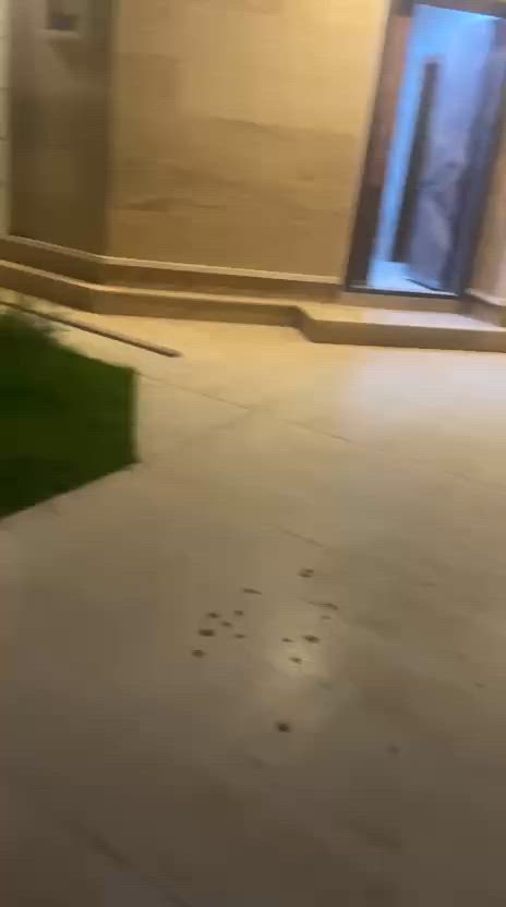 🏡 دار طابقين للبيع – فرصة مميزة للسكن والاستثمار
دار طابقين ملك صرف للبيع في مدينة الرمادي – منطقة 7 كيلو /
 مجمع المدينة المميزة، بمساحة 300 متر مربع، تتميز بموقع جيد ومساحة مناسبة للعائلة، وتصلح للسكن المريح أو كاستثمار مستقبلي.

💰 السعر: 280 مليون دينار عراقي قابل للتفاوض.

📍 للاستفسار والمعاينة: زيارة مكتب الساحل للعقار – الصوفية، مجاور مطعم القصر الأبيض.

📞 الاتصال على الأرقام: ***********
***********
مكتب الساحل للعقار... ثقتكم أساس نجاحنا.
