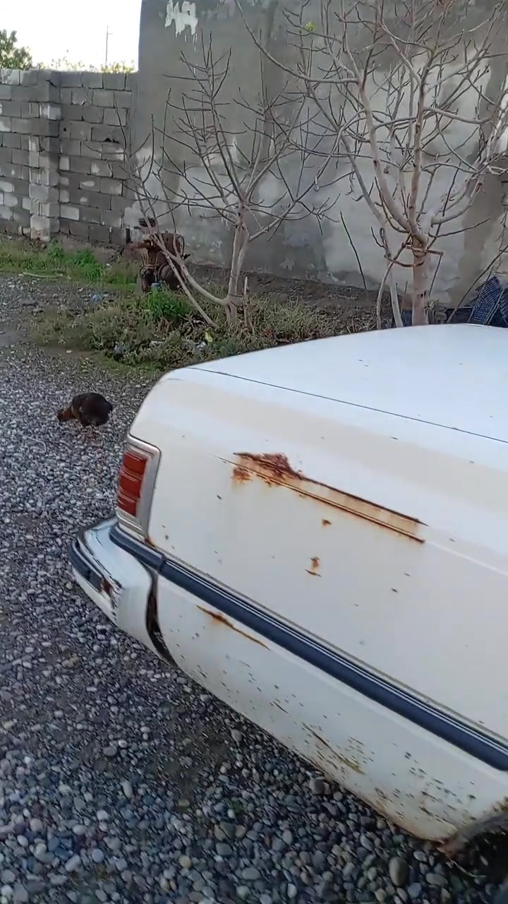سوبر للبيع رقم نينوئ ألماني  تنتهي ٢٠٢٩ بسمي ***********
