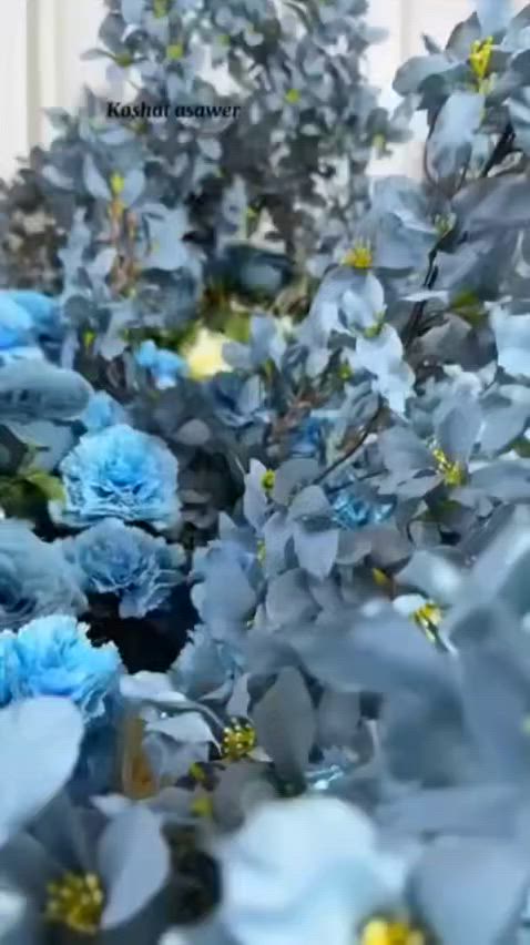 الورد للبيع فقط نظيف وكلش كثيف اغصان وباقات ومفردسعره ١٦٠


**إذا كنت صاحب هذا الإعلان وتريد حذفه لأي سبب، رجاءا أرسل رسالة إلى الدعم الفني**