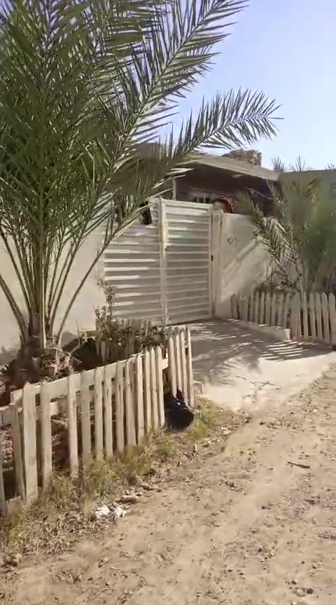 السلام عليكم
بيت للبيع العنوان ابو غريب  الضباط الثالثة
السند طابو صرف
 المساحه 180 الواجهه 15 النزال 12
السعر 100
*********** متوفر واتساب
