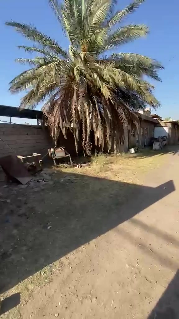 دار للبيع في الدوره ابو دشير وجه على سجه القطار
مساحته 1600م سند 25
في السند 1100 وتشجير 500 من ظمن البيت
الاستفسار ***********
