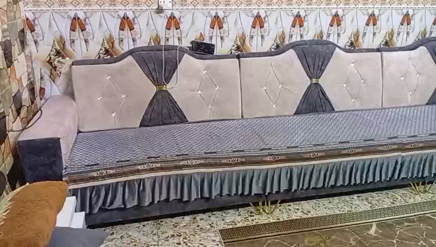 زاوية 20كنتور خو جديد سعر 250 تخم نضفيف سعر 350 لمكان لعبيدي شهداء ثالثه شراي خاص


**إذا كنت صاحب هذا الإعلان وتريد حذفه لأي سبب، رجاءا أرسل رسالة إلى الدعم الفني**