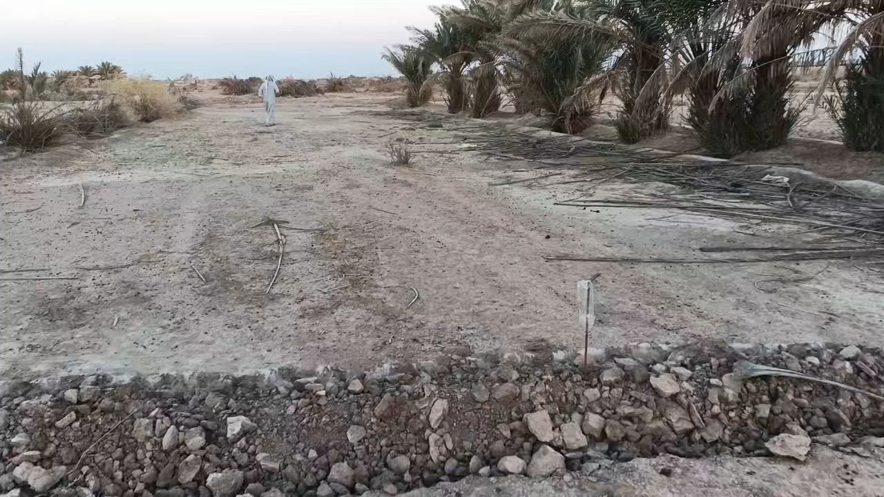 قطعه 3 أرباع الدونم  للبيع كاع حلوه يوجد فيها 25 فسيله و كهرباء قريبه وماي قريب ***********
