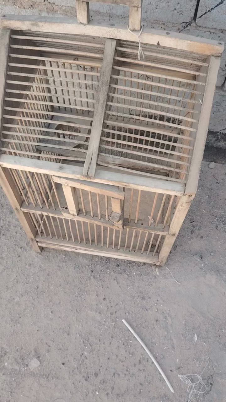 قفص للبيع سعره 15


**إذا كنت صاحب هذا الإعلان وتريد حذفه لأي سبب، رجاءا أرسل رسالة إلى الدعم الفني**