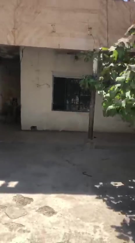 دار للبيع 
حي السكك 
مساحه 250 متر 
طابقين 3 غرف نوم 
قرب عماره المل 
شارع 12 

تيد يجار هم يرهم 
سعر مناسب 
شركه كلاسيك العقار 
***********
