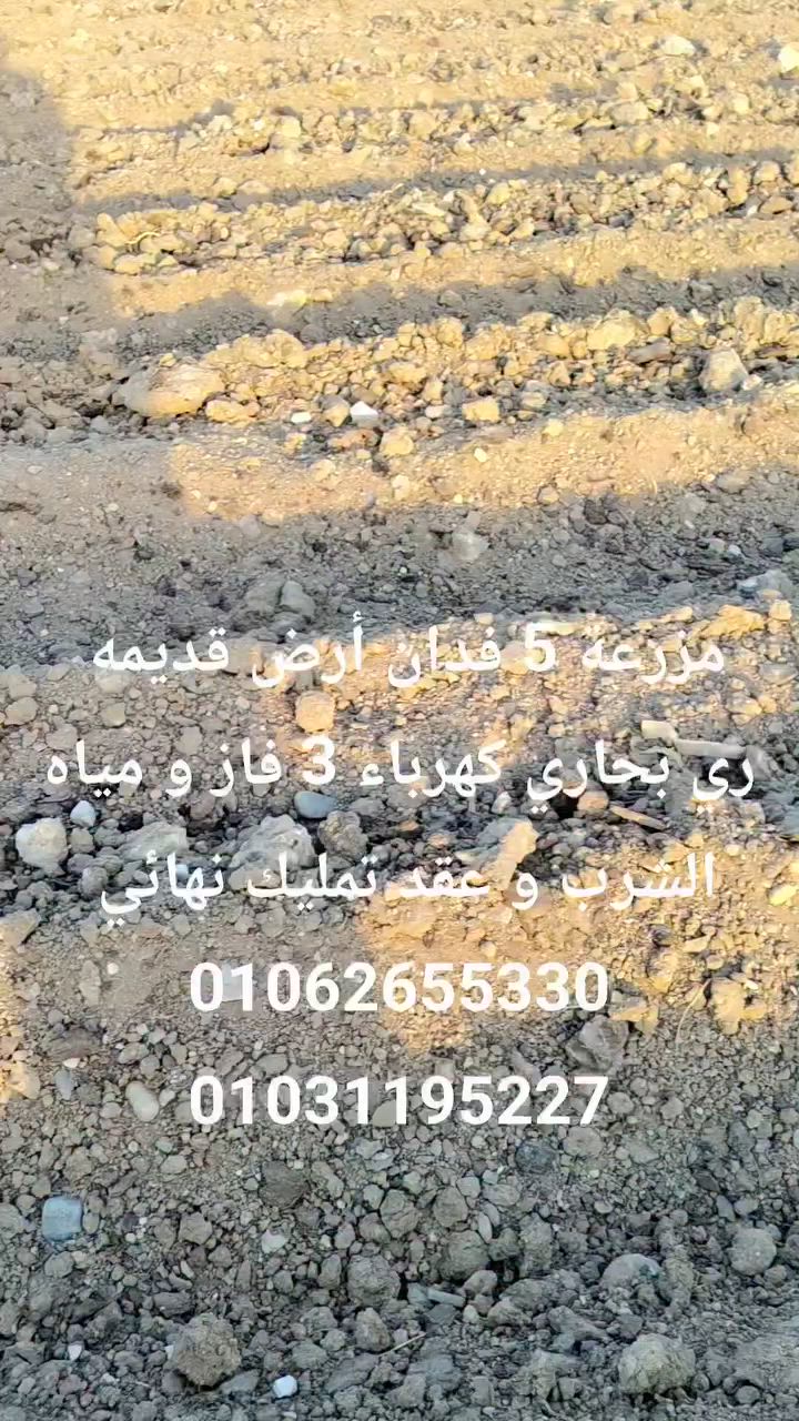 مزرعة 5 فدان للبيع 
المزرعه 5 فدان ملفوفه بسور عليها بوابة حديد 
أرض طينية قديمه فيها بيت ريفي 160متر متشطب 

الري بحاري متواجد طول العام 
فيها كهرباء ومياه الشرب 
لتواصل 01062655330
          01031195227


**إذا كنت صاحب هذا الإعلان وتريد حذفه لأي سبب، رجاءا أرسل رسالة إلى الدعم الفني**