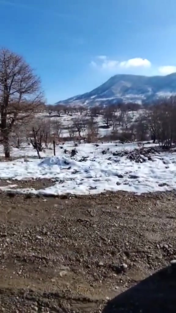 بسبب وعود كاذبه يرحم ولديكم يرحم ولديكم لا تكلي امسح منشور وتختلف لا تتواعد ما تجي السلام عليكم مستعجل عل بيع بسسب الضروف اوبتره فورنزه للبيع السعر 48 بي   محرك اسم رغاوه بيه تكمه أربع عصابع سياره بدون قطره دواخل مجال ***********
