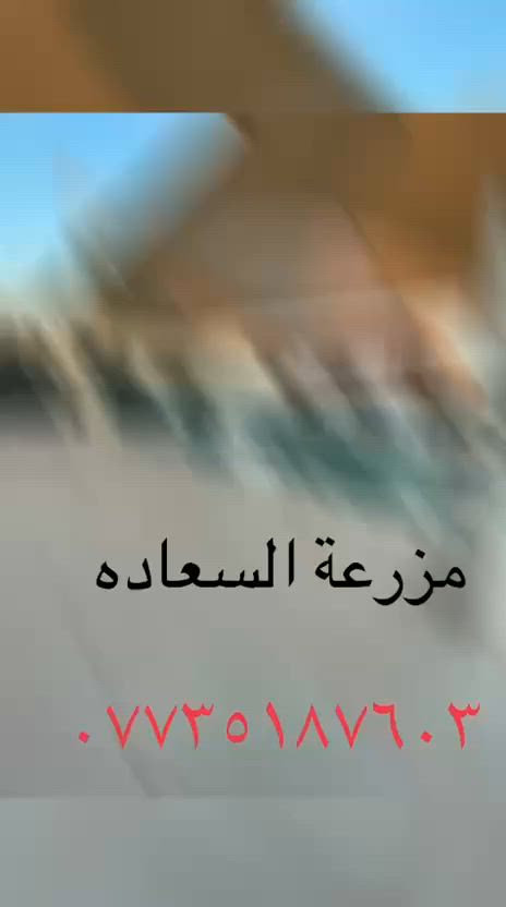 سلام عليكم تتوفر مزارع  اسعار مناسبه موثقة بتطبيق اجرالي العنوان الدوره البوعيثه استفسار رقم ***********❤️🤍🗨️ مزرعة السعادة
