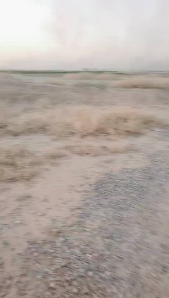 البييع ***********
