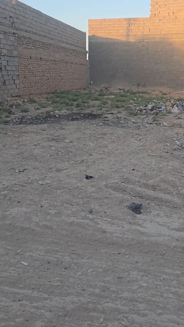 الاستفسار اتصل ***********
