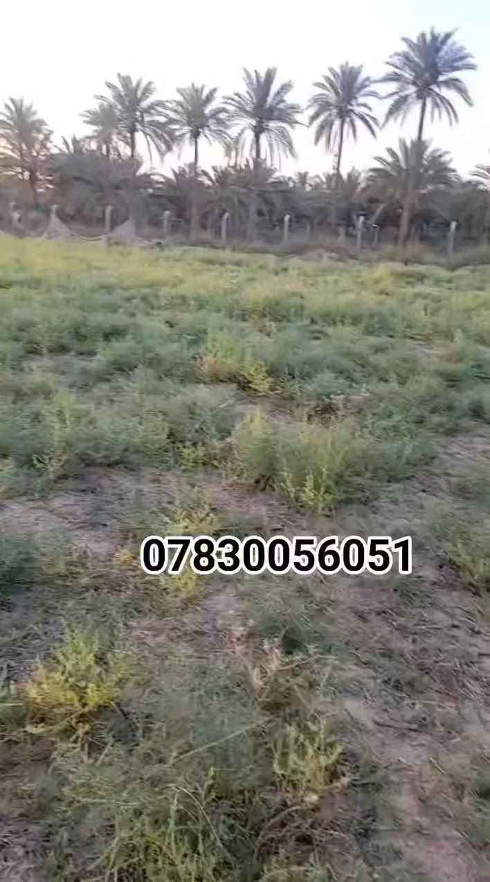 السلام عليكم ارض للبيع المساحه دونمين الا ربع طابو زراعي سند 25 واجهيه 30م متوفره كافة الخدمات العنوان كربلاء طويريج حي المستقبل السعر اتصال 
***********
***********
@أبرز المعجبين
