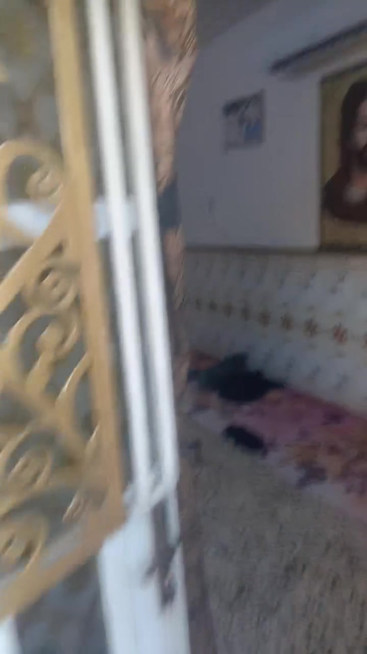 ***********
