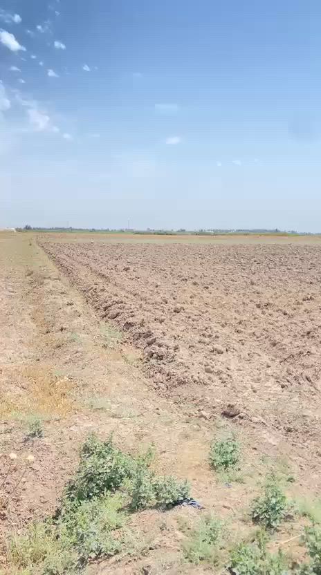( ٦٠) دونم للإيجار بالسنه ( ٣٥٠،٠٠٠)
العنوان / منطقة تونسيه / منطقة السيد عبدالله / قريبه على مركز المدينة
للاستفسار الاتصال او المراسلة عبر الواتساب على هذا الرقم ***********
