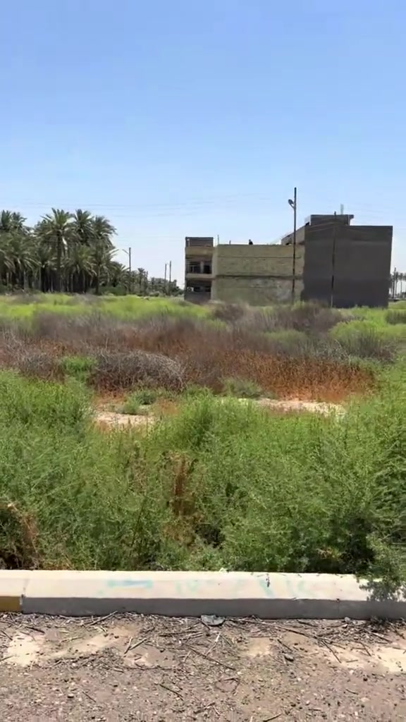 السلام عليكم عندنا عرض قطعه ارض 300 متر زنجيل على شارعين الواجهه 10 النزال 30 جار العباس على شارع 10 يرجى التواصل على رقم الهاتف*********** بغداد الجزيره سياحيه
