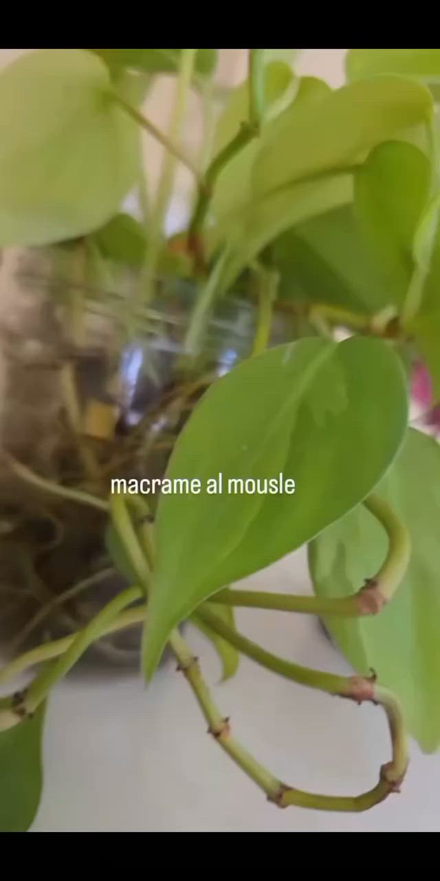 جزء من اعمالي


**إذا كنت صاحب هذا الإعلان وتريد حذفه لأي سبب، رجاءا أرسل رسالة إلى الدعم الفني**