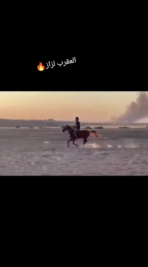 السلام عليكم حصان عربي
للمراوس بدراجه حسب القناعه  
الارتفاع ١٥٣ الحصان بي اصابه بس ما يشكي منها 
وبيع هم يرهم لعب وطراد ما شاء الله للإستفسار ***********
