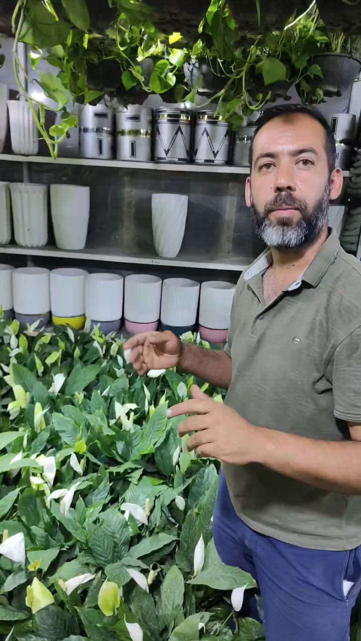 الشراع صار ب 10 بس 🔥🔥🔥🪴
العنوان: حلة حي الصحة شارع كورنيش
للتواصل ضرغام : ‏‪***********‬‏
https://maps.app.goo.gl/MrkK44hPhZ3qJYfC9
