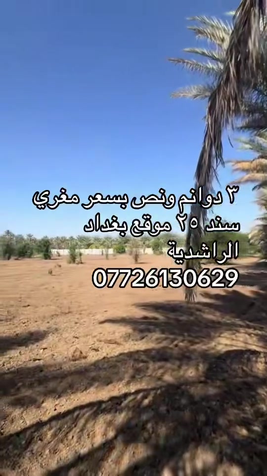 ٣ دوانم ونص سند ٢٥ موقع بغداد الراشدية قرية جميل الضاحي قرب العراگنه بيها نخيل قليل الاستفسار اكثر ***********
بسعر مناسب
