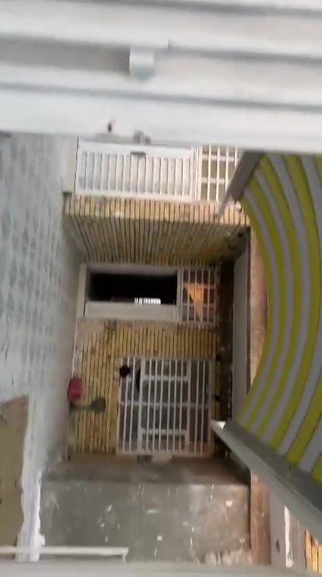 موقع 📍حي الكوفه 
بيت للبيع مساحة📐 350م
زراعي 
غرفتين نوم 🛏
صاله🖼
مطبخ 🍽
استقبال 🏛
صحيات🪞
بيت بناء حديث وجاهز 
مقابيل الملعب الجديد 🏟
كلشي موضح بالفيديو 🎥
الوسيط العقاري              السعر خاص
***********☎ واتساب 
عندك عقار تريد تعرضه عليك بس دز تفاصيل والباقي علينه
