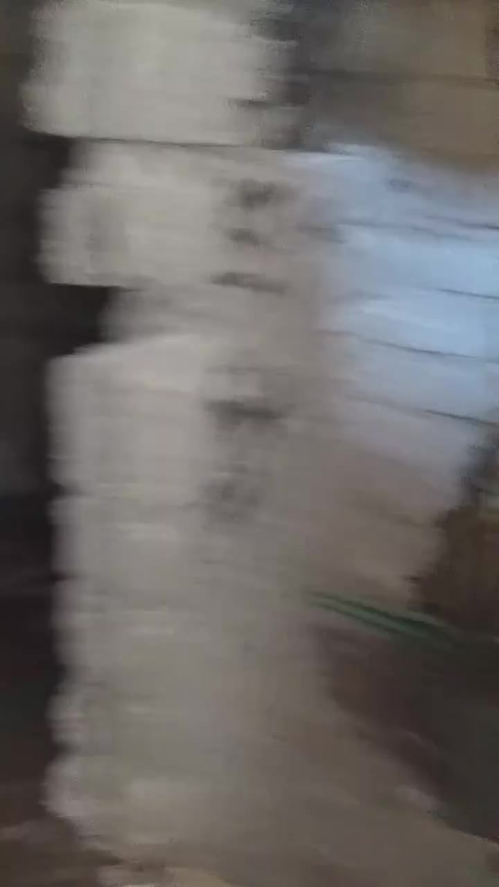 مؤسس مجاري متفرغ حاليا
***********
***********
