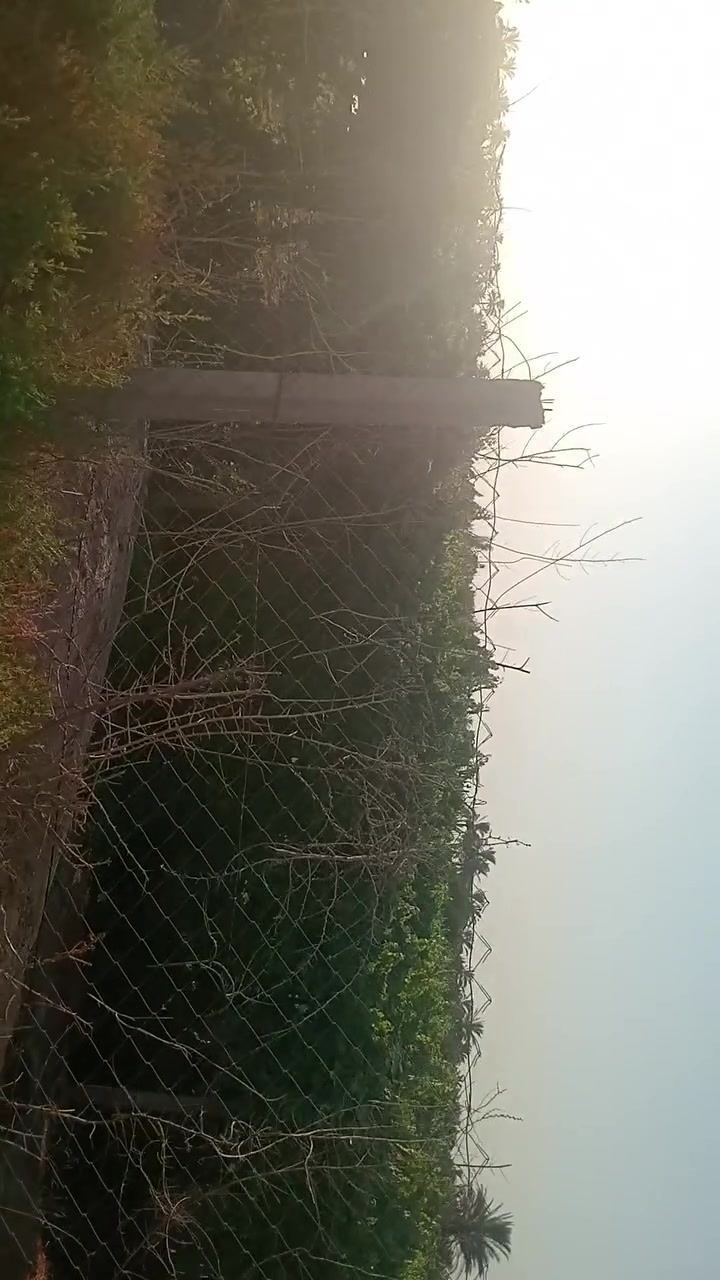 بستان للبيع الاتصال على ***********
