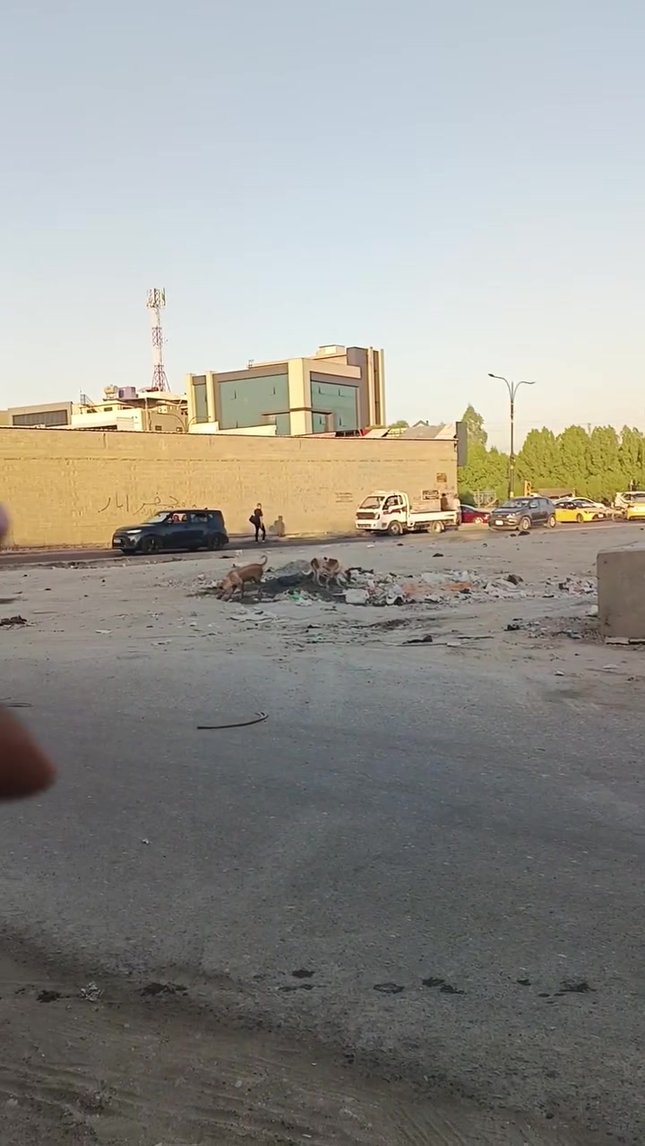 السلام عليكم 
بيت للبيع وقف قادري 

موقع حلو حيل 
300 متر 

استقبال جبيره و غرفتين نوم كبار و مطبخ جبير
و باقي خدمات كامله

معرفة سعر انتصال ع رقم ‏‪***********‬‏
