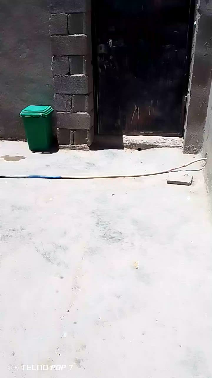 سلام عليكم هاذة البيت كامل اثاث من تبريد وتخم وبلازمة وبردات وتانكي وكيزر ومبردة ومغسلة ومساحتة 100 متر الغرفة مالت الخشاب يعني كامل اثاث عدة ثلاجة ومجمدو من كلشي عنوان بغداد نهروان شارع شمري قرب اخر جسر قريب علة شارع و ألمي سيح وائل بل باب والنت ضوءي هاذة رقمي***********واتساب  موجود بيع مستعجل
