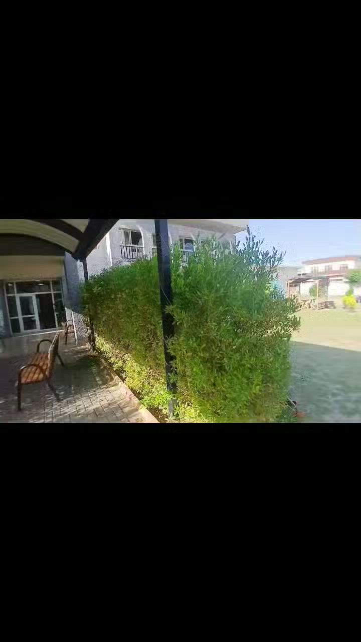 شغل اليوم حدقجي
  نعمل الحدايق بسعار مناسبه تنضيف الحدايق تقليم كافه انواعه الاشجار التواصل ع رقم *********** ورقم بي واتساب
