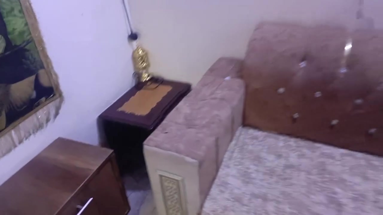 تخم قنفات للبيع مكاني كربلاء السعر 700 وبي مجال الرقم ***********
