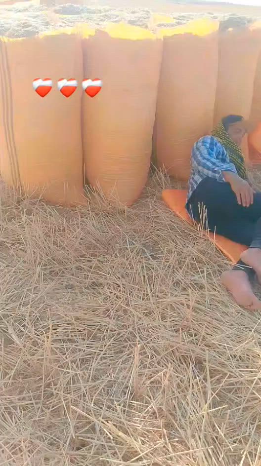 سلام عليكم ورحمه الله وبركاته على جميع تبن للبيع نظيف فول ترس فول خياط فول تبن مال السنه تبن كركوك يوجد توصيل الي كافه محافظات العراق تواصل خاص اؤ وتساب اؤ تصال رقم. ***********
نبيع مطروح على ظهر حاويه كامل ونبيع واصل يمك 
سلام عليكم ورحمه الله وبركاته على جميع تبن للبيع نظيف فول ترس فول خياط فول تبن مال السنه تبن كركوك يوجد توصيل الي كافه محافظات العراق تواصل خاص اؤ وتساب اؤ تصال رقم. ***********

