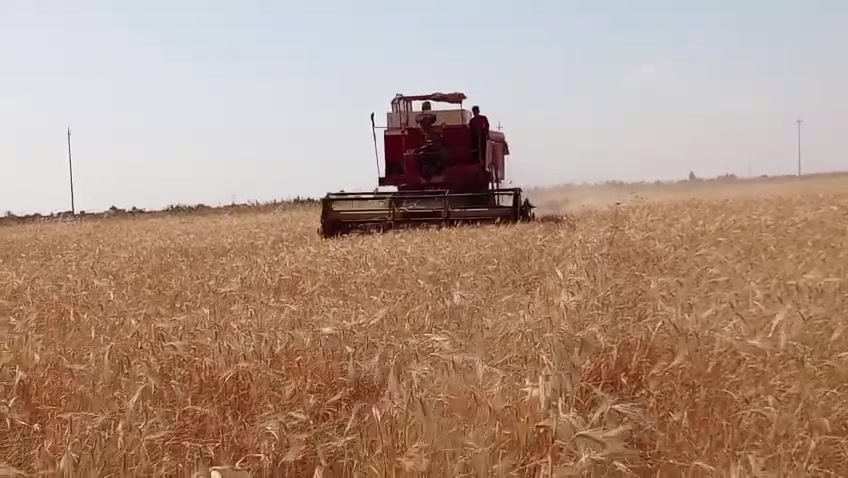بيع شرط وين الجنايه اتصلو عل رقم ***********
