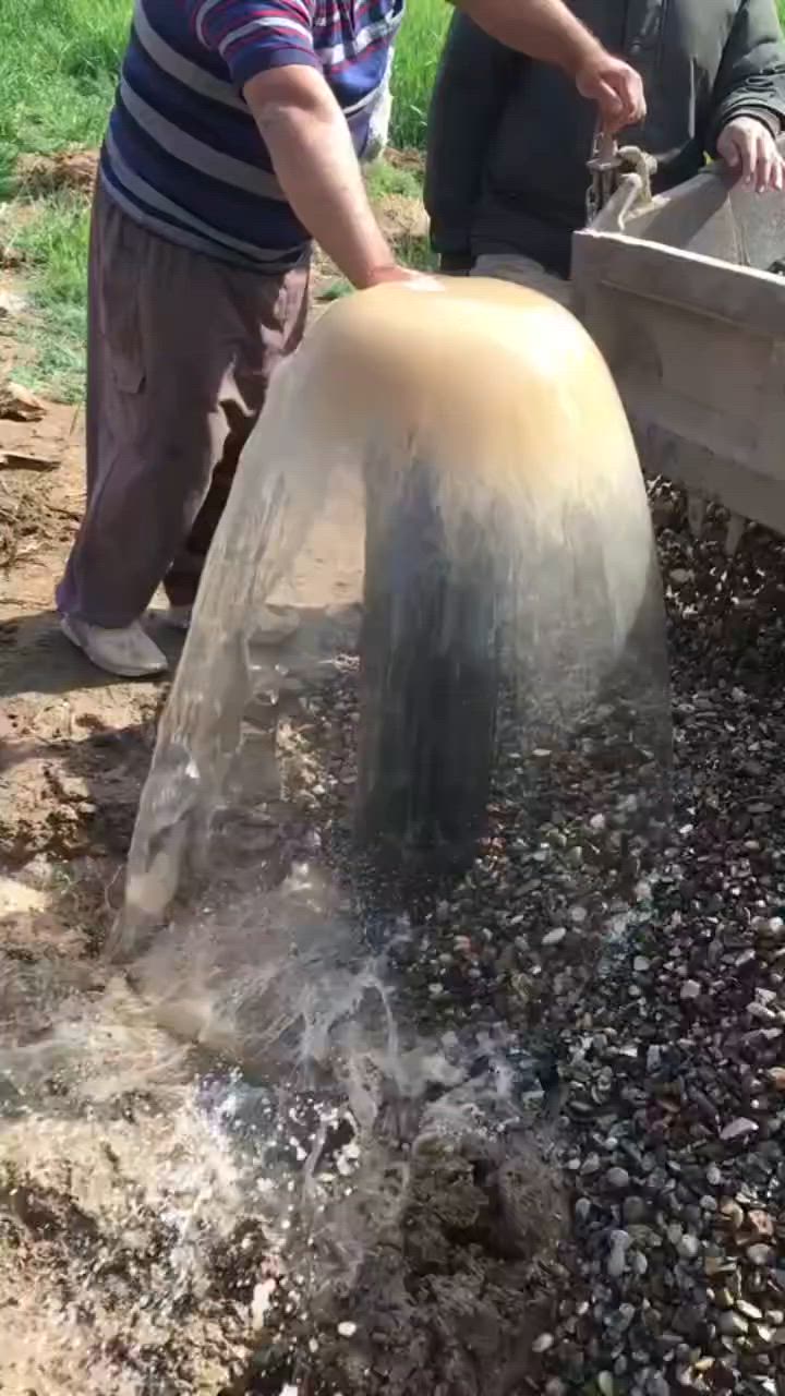 لحفر الأبار الأرتوازيه الكهربائيه حت عمق 40متر استفسار
***********

