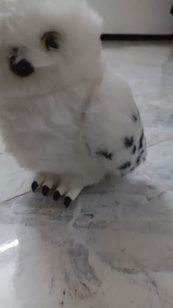 بومه هاري بوتر حجم كبير وتفاعلي


**إذا كنت صاحب هذا الإعلان وتريد حذفه لأي سبب، رجاءا أرسل رسالة إلى الدعم الفني**