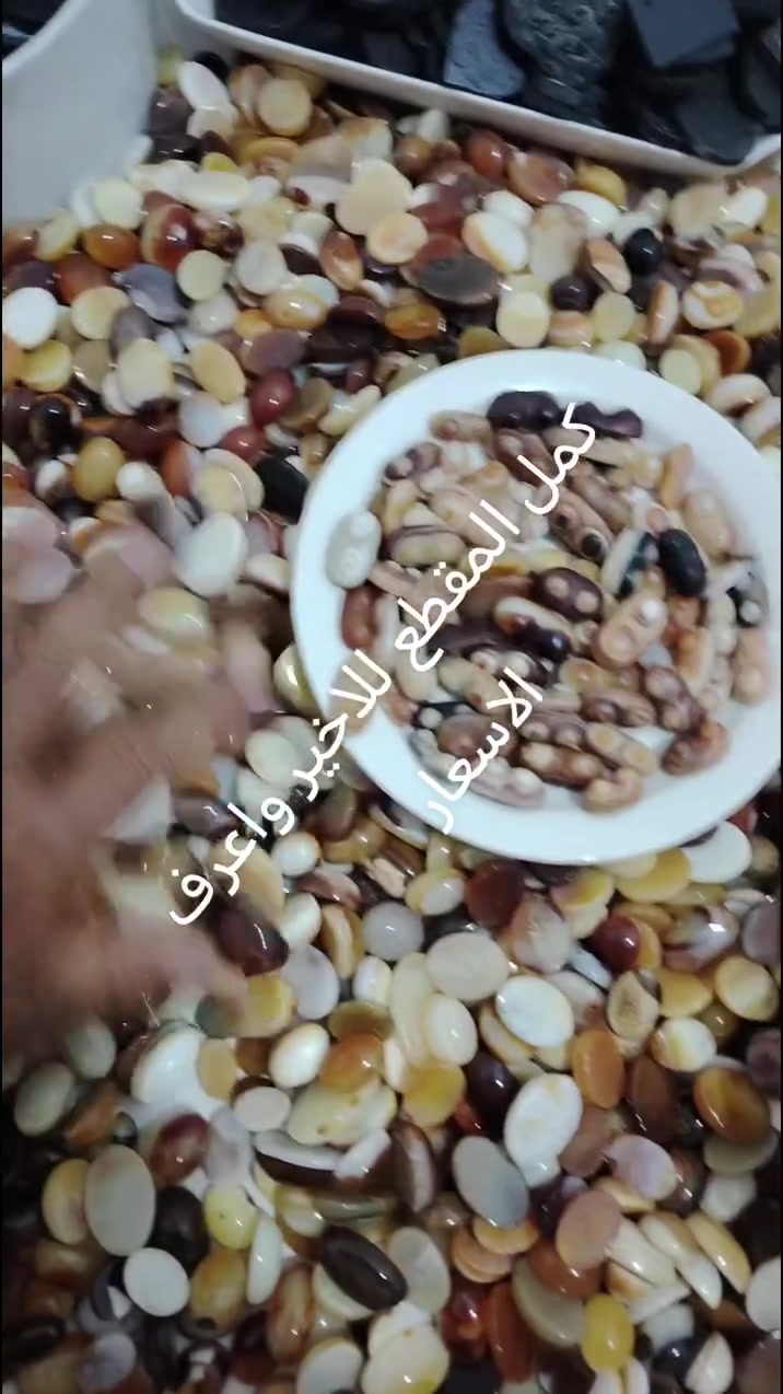 الحجز وات ساب ***********
