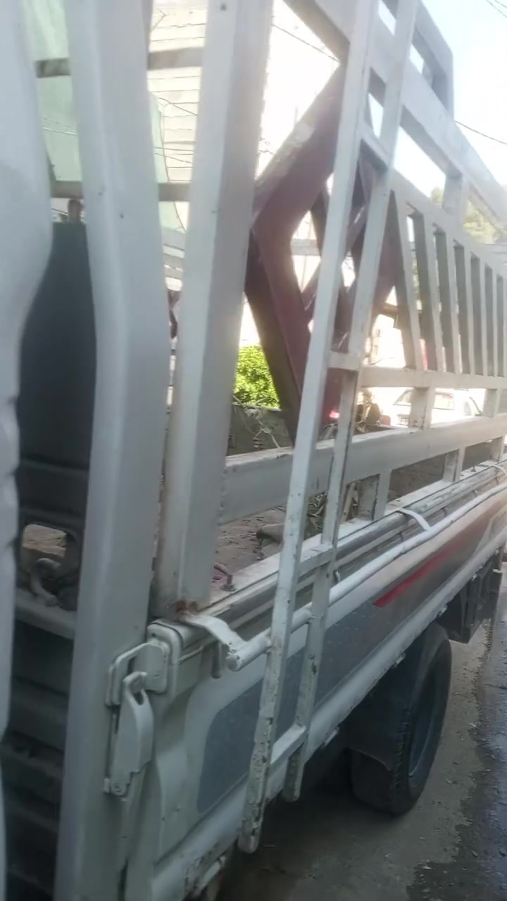 كيه للبيع فحل مشروطه من كل شيء ***********
