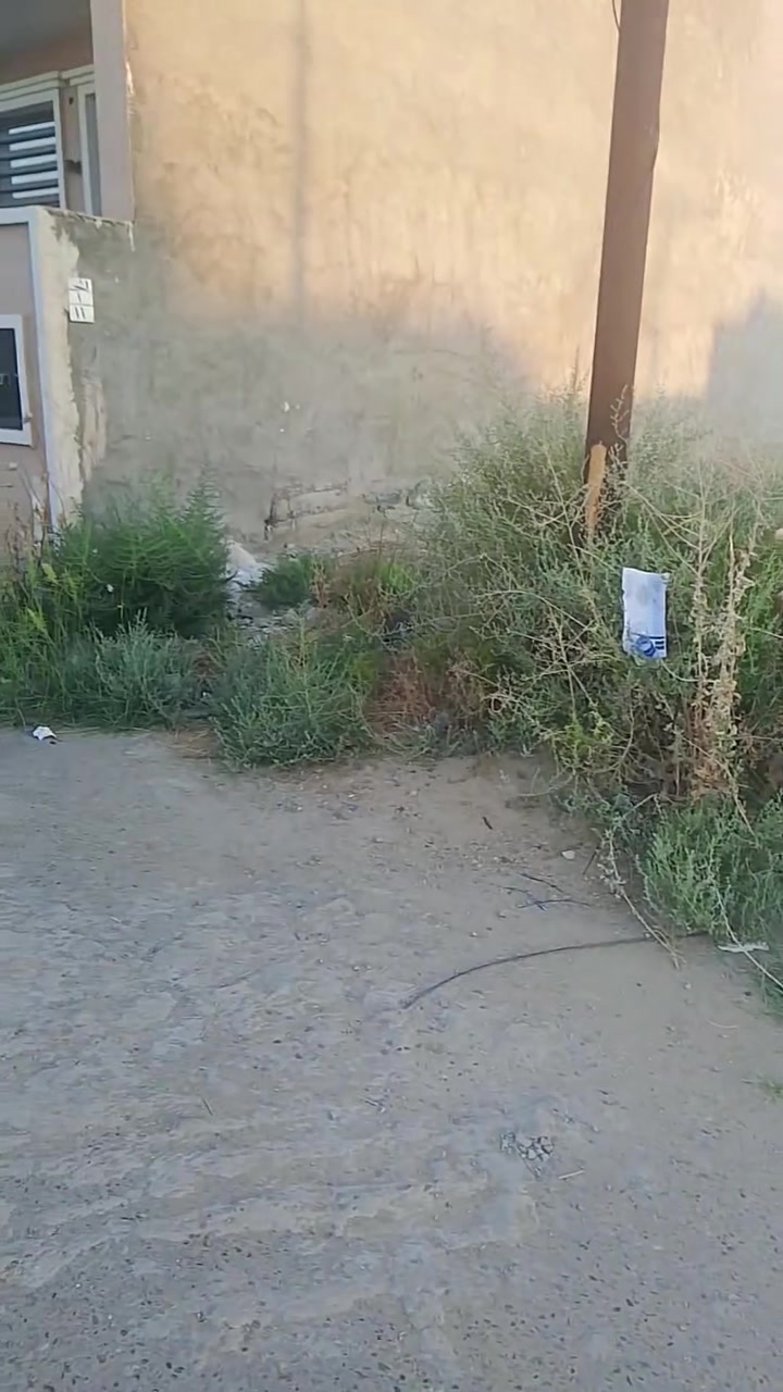تفاصيل..واتساب فقط حاليا.
***********
