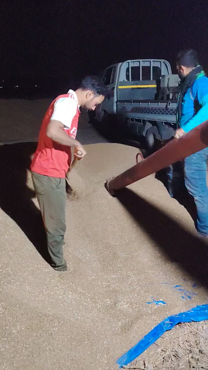 برينه تحميل حنطه و شعير موجوده على مدار ٢٤ ساعه في قضاء الحويجه وكل نواحيها *********** سعر الطن 5 الف
