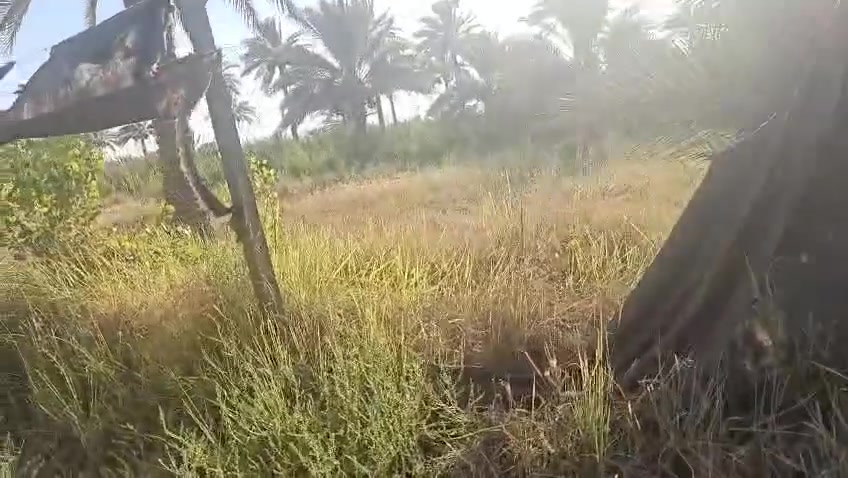 فرصة مميزة على طريق بغداد 📍
🔹 دونم ونص – سايد الدخول (عمود 475)
🔹 يبعد 300 متر فقط عن شارع بغداد
🔹 واجهة 60 متر
🔹 نوع السند: طابو 25
🔹 صنف العقار: مفوّض بالطابو (غير مملوك للدولة)
🔹 التعامل مباشر ويا صاحب السند

موقع مناسب للسكن أو الاستثمار، والسعر قابل للتفاوض مع الجادين.

📞 للاستفسار ‎***********
