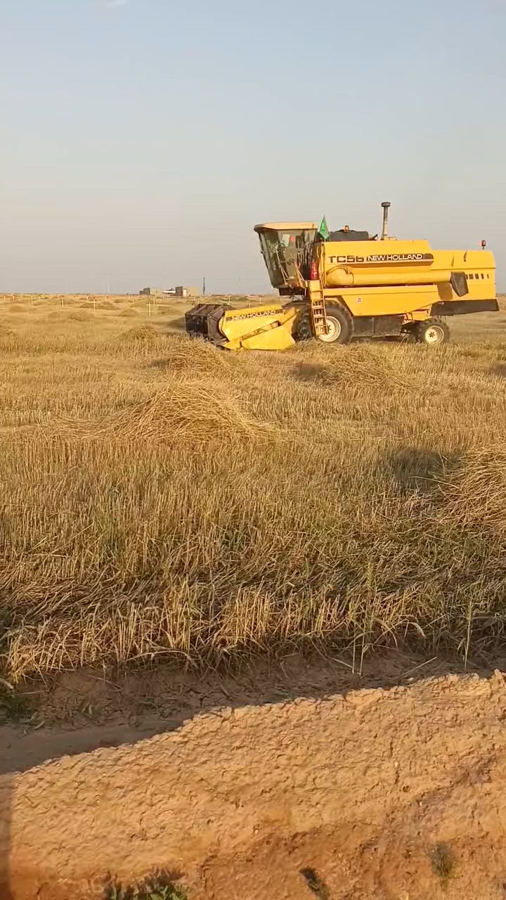 سلام عليكم حاصده نيوهولند خمسة بلم موديل ٩٣مسجله ٢٠١٠ليبر رقم واسط تحويل الاستفسار اتصال***********/***********مكان واسط

